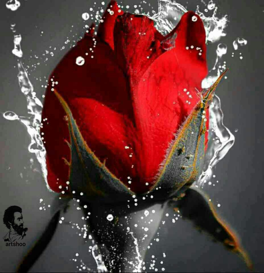 گل اورژینال رنگ روغن